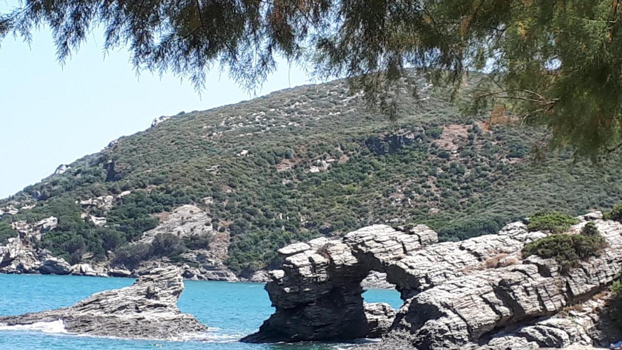 Ellina'S Home - Euboea Island Greece Oxílithos Extérieur photo